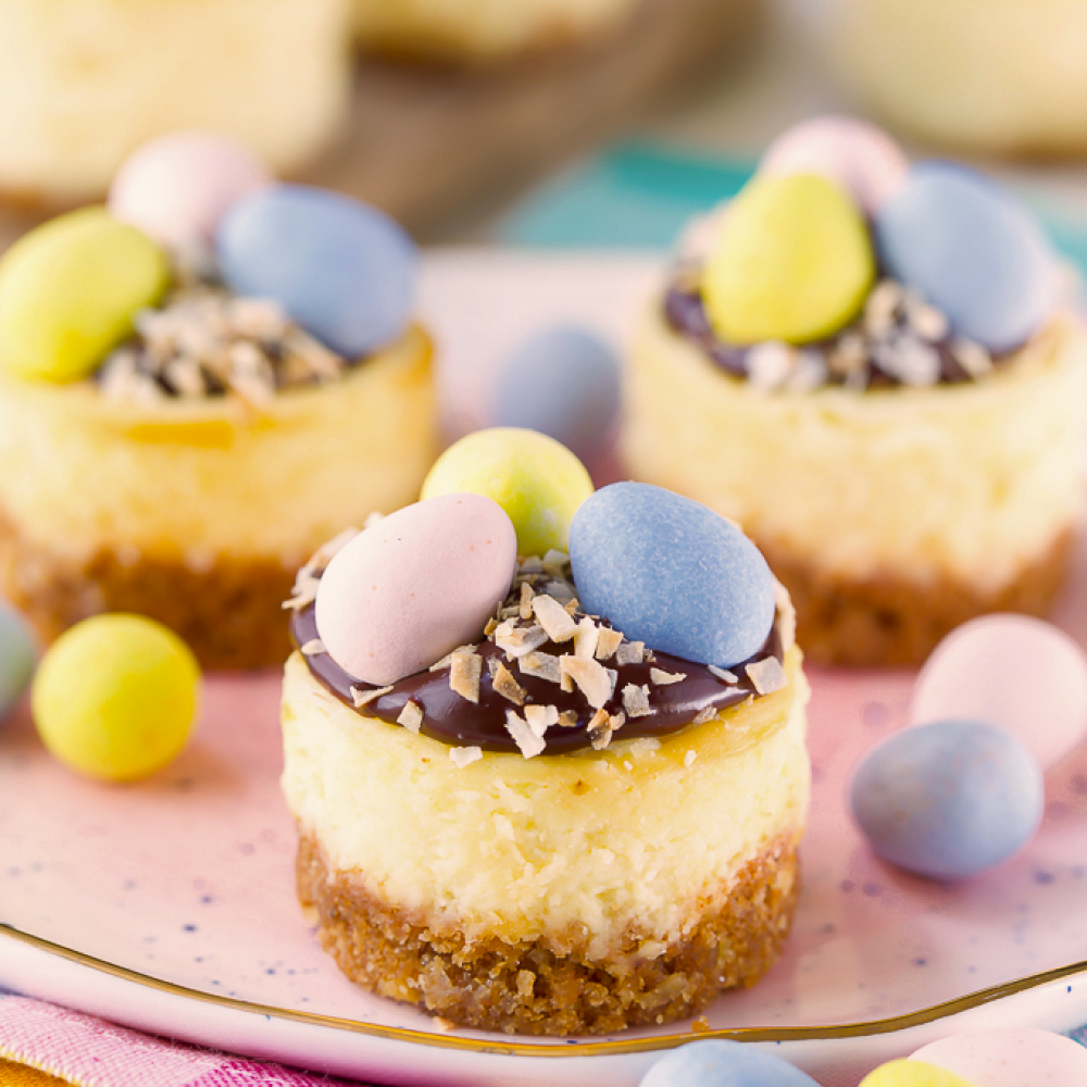 a close-up of an easter themed cheesecake with egg-shaped candy to resemble a nest